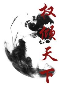 权倾天下讲什么