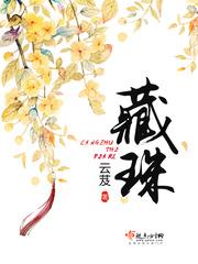 藏珠男主身世