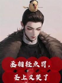 丞相轻点罚