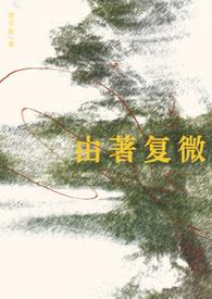 由著复微作者乱佳音