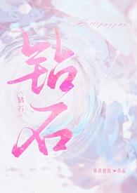 钻石by番外