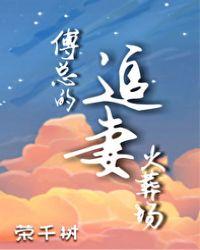 傅总的追妻火葬场第17章