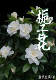 栀子花作者全部