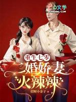 重生七零二婚妻作者