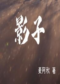 影子网络