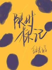 限时图标
