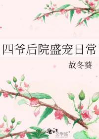 四爷后院五个穿越女作者巧粉酱