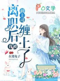 离职后我被前上司缠住了原创书殿
