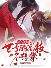 美人难做书籍