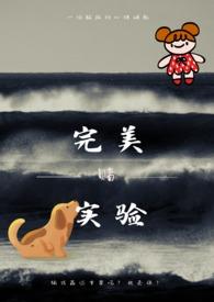 完美s+