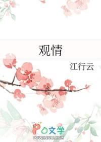 观情斋胡悦身世