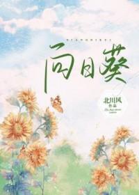 向日葵出现1笔大宗交易