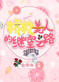 娇软美人的继室之路晋江
