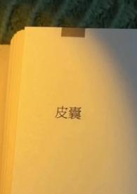 皮囊.txt