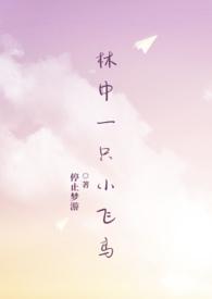 林中一只小飞鸟全文免费阅读