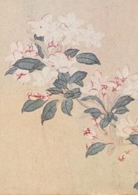 夺春色(强取豪夺)作者许酒肆