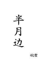 半月丁