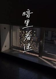 暗里着迷全文