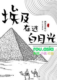 埃及出逃记