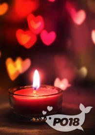 道侣啥意思