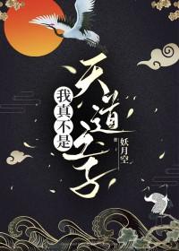 我真不是天道之子逆天邪神网