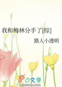 我和梅林分手了txt
