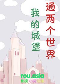 我的城堡游戏