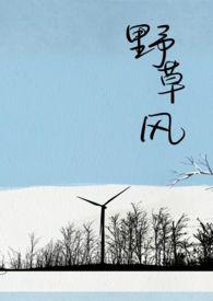 野草风资源