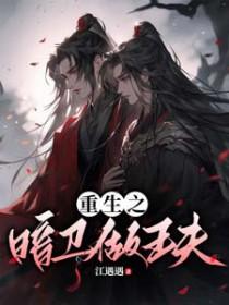 重生之暗卫做王夫简介