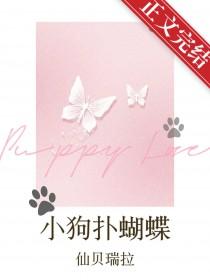 蝴蝶小狗狗