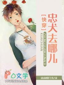 忠犬去哪儿了