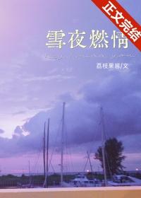 雪夜情侣
