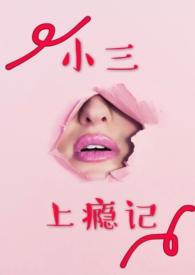 小三上瘾记类似