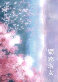 窈窕淑女 电视剧
