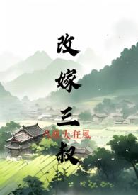 改嫁三叔作者八级狂风
