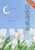 白色鸢尾花的花语和寓意