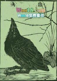 空壳公司特征