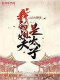 电子书我的姐夫