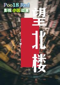 望北楼txt