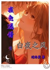 夜色迷离意思