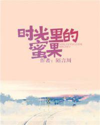 时光里的蜜果 陌言川讲的什么