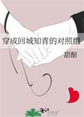 穿成回城女知青