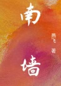 南墙(NP)笔趣阁