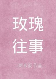 玫瑰往事电视剧40集全
