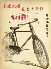 末世大佬在七零发家致富