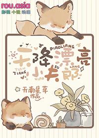 电视剧天降小娇妻