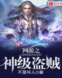 网游之超级盗贼