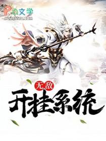无敌外挂系统