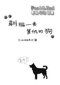 驯服小狗