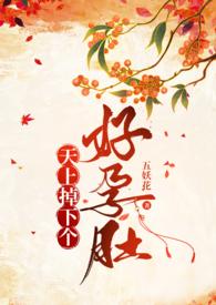 天上掉下个好孕肚(慢穿)是哪个平台的
